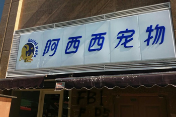 &#20061;&#28216;&#23448;&#26041;&#31471;&#20837;&#21475;&#45;&#20061;&#28216;&#40;&#20013;&#22269;&#41;